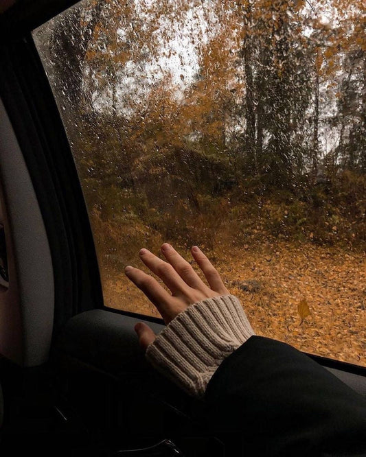 10 Soul-Nourishing Wellness Habits to Embrace This Autumn