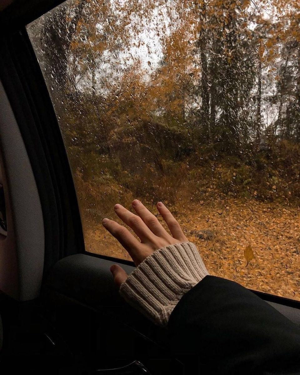 10 Soul-Nourishing Wellness Habits to Embrace This Autumn